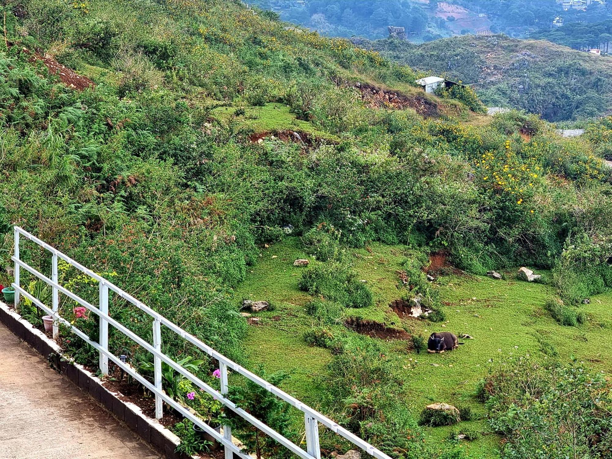 Wanay'S Rocky Mountain Homestay Baguio City Luaran gambar
